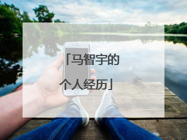 马智宇的个人经历