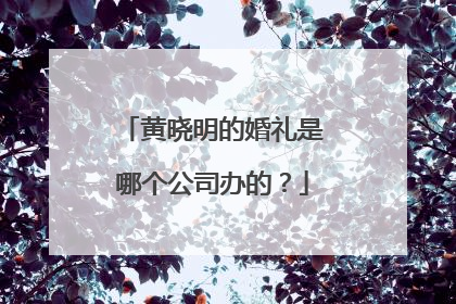黄晓明的婚礼是哪个公司办的？