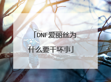 DNF爱丽丝为什么要干坏事