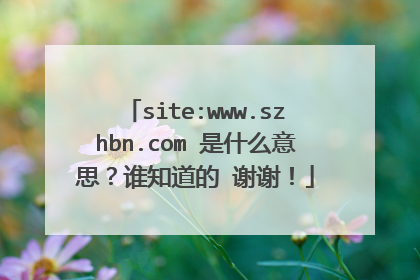 site:www.szhbn.com 是什么意思？谁知道的 谢谢！