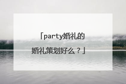 party婚礼的婚礼策划好么?